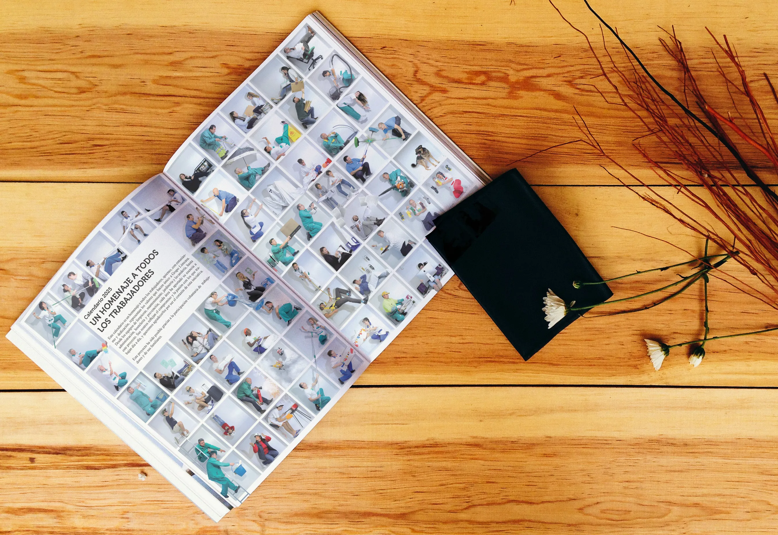 Anuario Limpiezas Salamanca